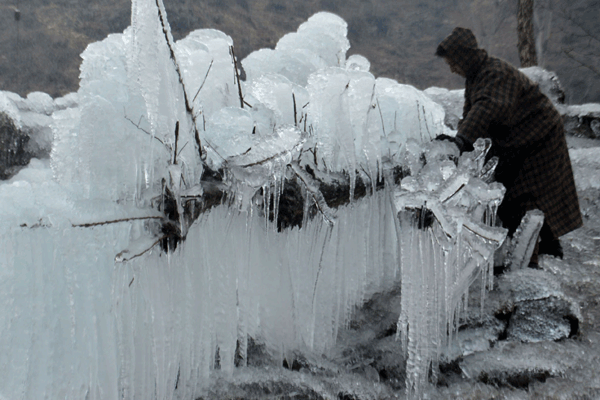 Photos: Cold wave grips J&K