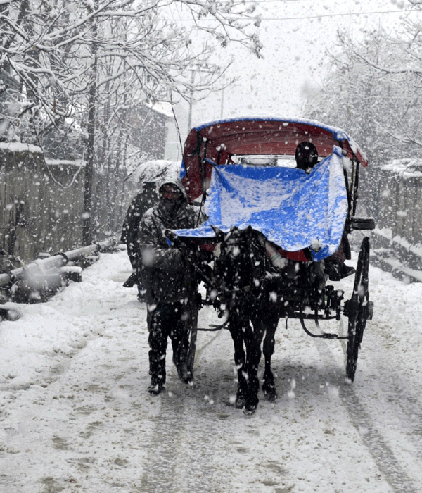 Phots: Snowfall brings Kashmir Valley to standstill