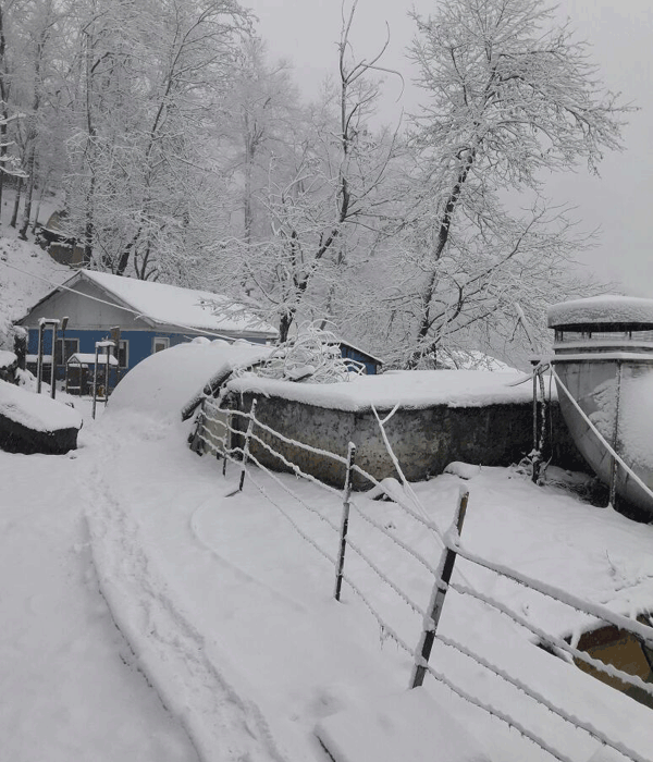 Phots: Snowfall brings Kashmir Valley to standstill