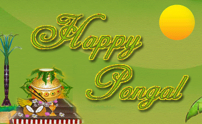 Pongal 2017 wallpapers and images