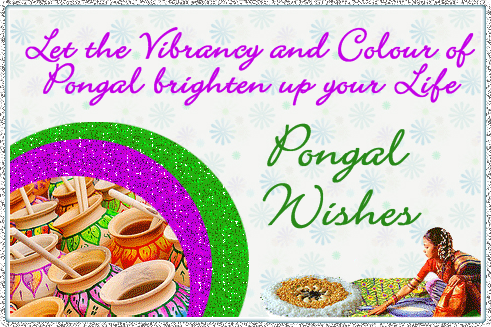 Pongal 2017 wallpapers and images