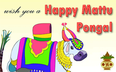 Pongal 2017 wallpapers and images
