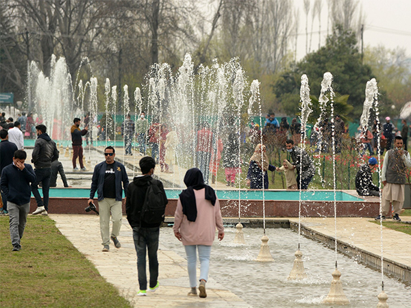 PICS: Majestic Tulip Garden in Jammu and Kashmir opens for tourists