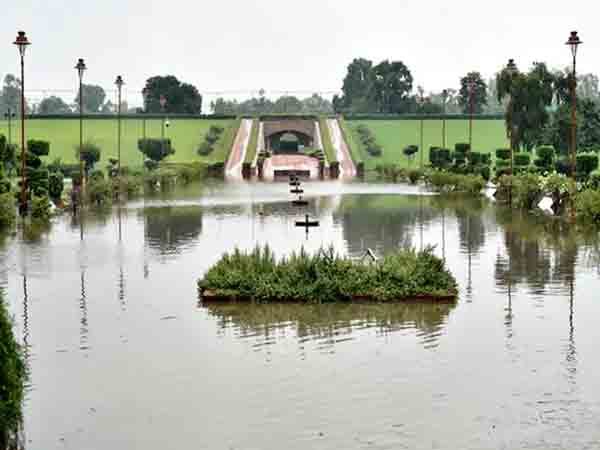 IN PICS | Heavy rainfall lashes Delhi as IMD issues orange alert, waterlogged streets seen across NCR