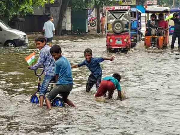 IN PICS | Heavy rainfall lashes Delhi as IMD issues orange alert, waterlogged streets seen across NCR