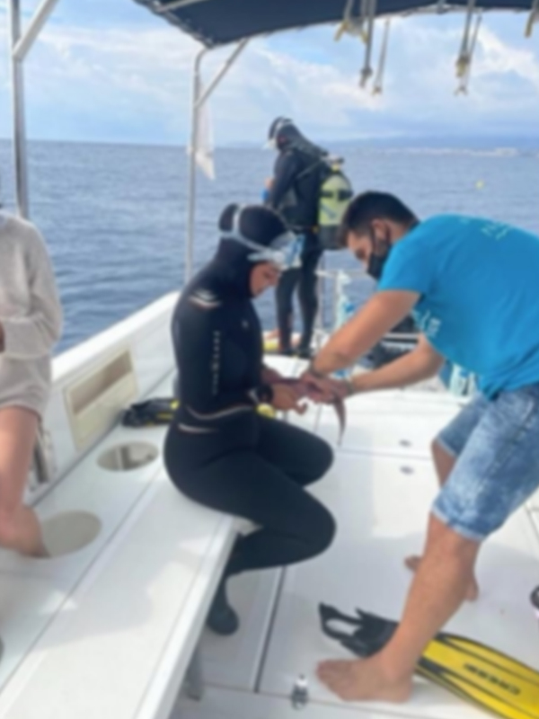 Priyanka Chopra gets wet in scuba diving pics