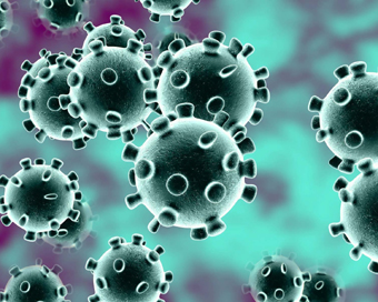 US, China working on vaccine against coronavirus: Expert