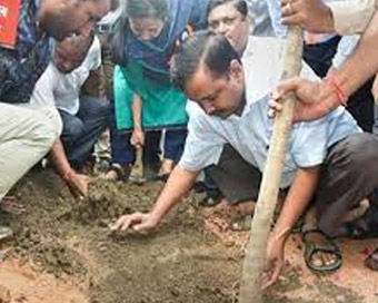 Kejriwal launches mass plantation drive across capital