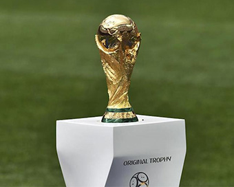 FIFA to look into holding World Cup every 2 years