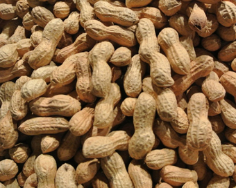 Peanut allergy