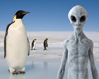 New evidence shows penguins might actually be aliens