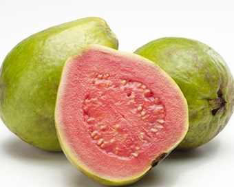 Famous pink guava loses colour due to weather change