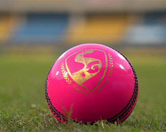 SG Pink ball