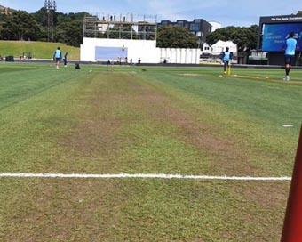 Christchurch pitch