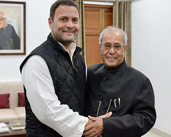 Rahul Gandhi wtih Pranab Mukherjee (file pic)