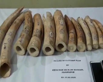 19 kg elephant tusks seized in Odisha, 3 arrested 