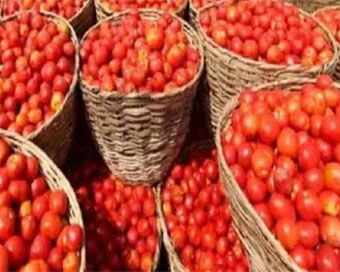 Tomato Price Hike: Monsoon leads to nationwide surge in tomato prices