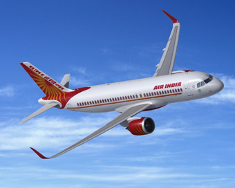 Air India flight (file photo)