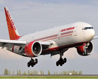 Bird hits aircraft, passengers safe: Air India