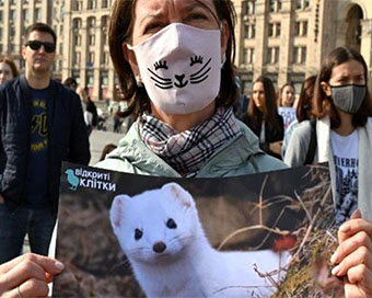 International Animal Rights Day: Laws against animal cruelty need to be stricter
