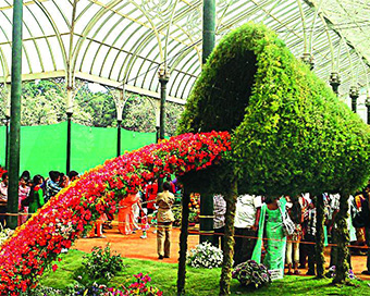  Bengaluru flower show 