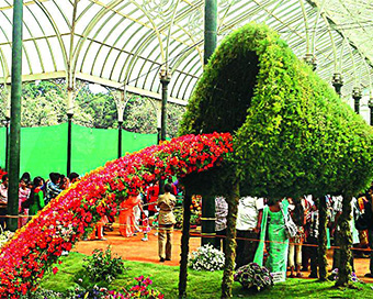 Iconic Bengaluru flower show postponed due to pandemic