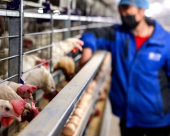 China reports human infection of H10N3 avian influenza