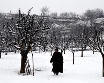 Intense cold amid dry spell till Jan 31 in J&K, Ladakh