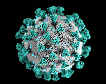 Global coronavirus death toll reaches 1,14,245: JHU