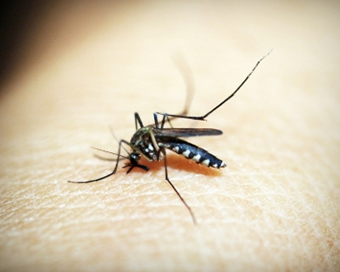 Delhi records first death due to dengue in 2021