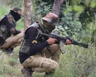 Infiltration bid foiled in J&K