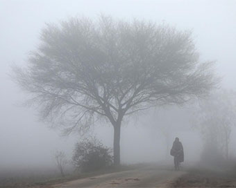Dense fog (file photo)