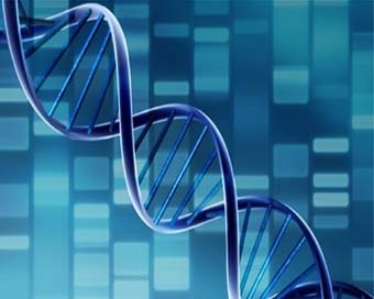 New genetic test for inherited diseases launched