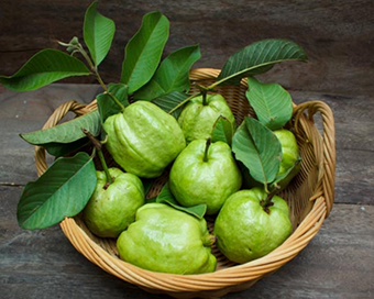  Guava 