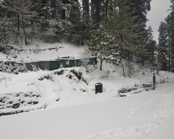 Snowfall in Himachal