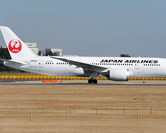 Japan Airlines (file photo)