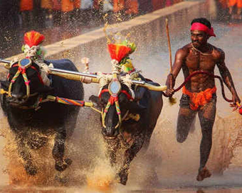 Fastest Kambala jockey 