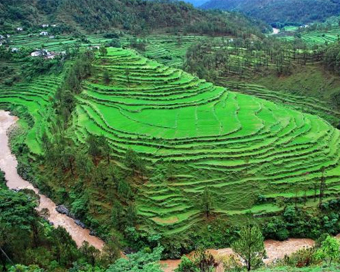 Agriculture land will be give on lease in Uttarakhand