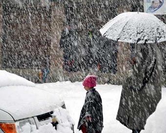 Leh snowfall