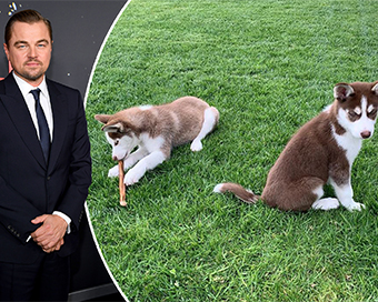Leonardo DiCaprio jumped into frozen lake to save his dogs while filming 