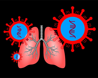 Omicron sub-variants may target lungs, evade vaccine and prior infection: Studies