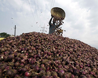 Onions (file photo)