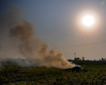 Amritsar: Paddy stubble being burnt in a field on the outskirts of Amritsar, on Oct 12, 2018. (Photo: IANS)
