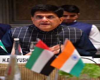UAE-India joint investment task force reviews key areas of cooperation