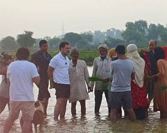 Rahul interacts with farmers in Haryana