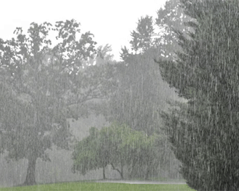 Rainfall hits parts of Delhi, pleasant weather likely until next week