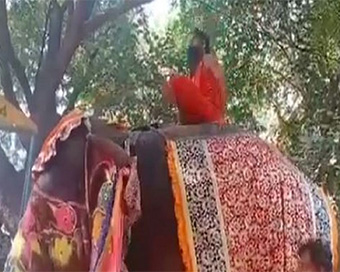Ramdev falls of elephant