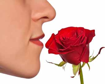 Scent of rose improves learning and sleeping: Study