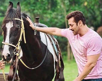 Lockdown Diaries: Salman Khan eats leaves for breakfast along with his horse