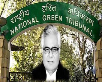 Justice U.D. Salvi appointed acting chairperson of NGT